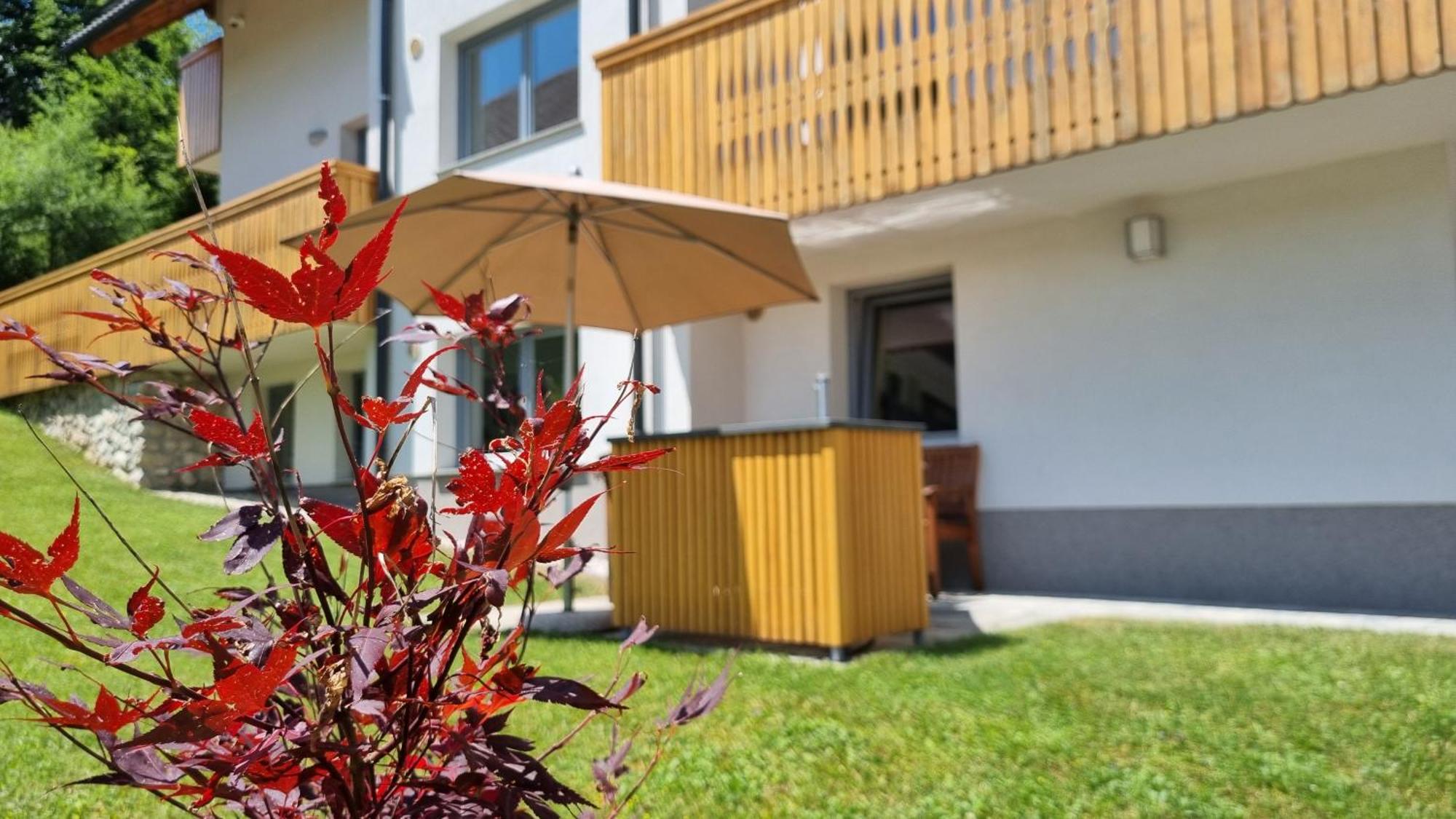 Apartments Vila Darja Bohinj Exteriér fotografie